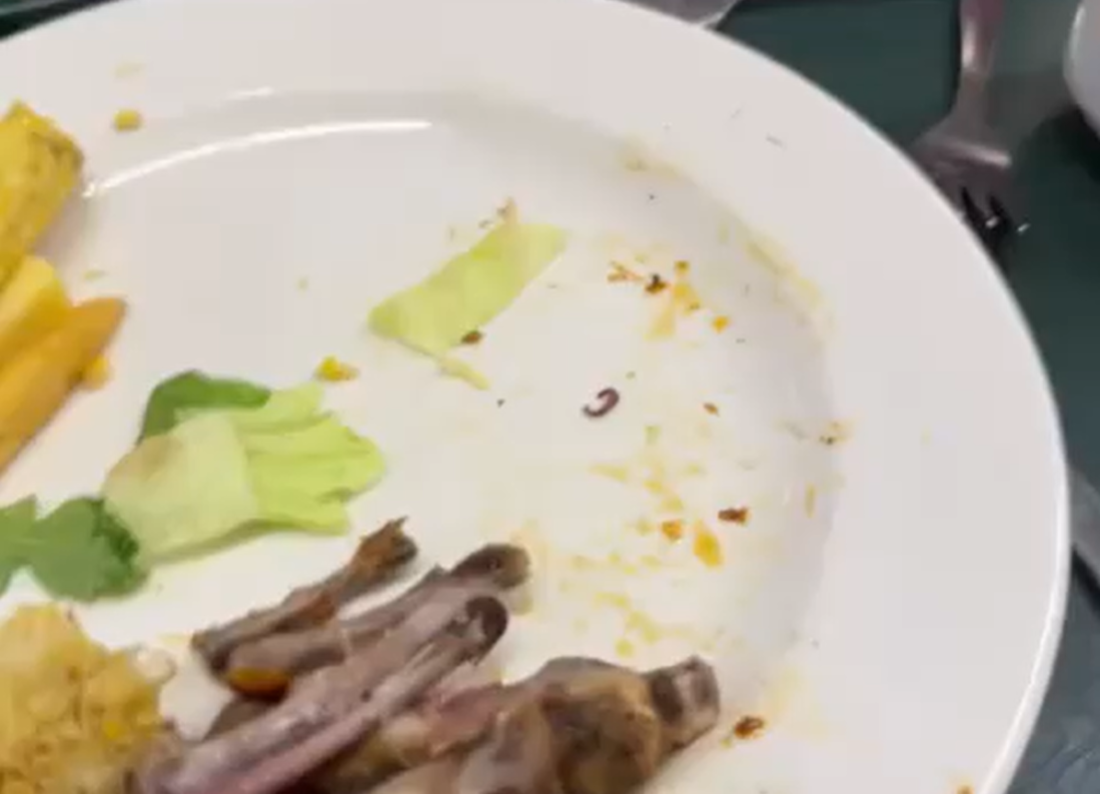 UCL apologises for viral clip showing live worm in Ramsay food