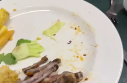 UCL apologises for viral clip showing live worm in Ramsay food