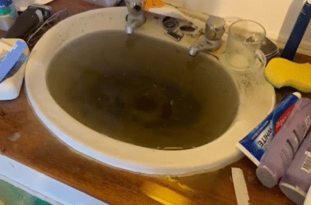 Videos show black water gushing from UCL hall sink